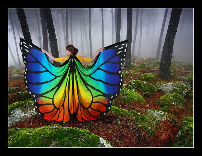 Butterfly Silk Wings Rainbow