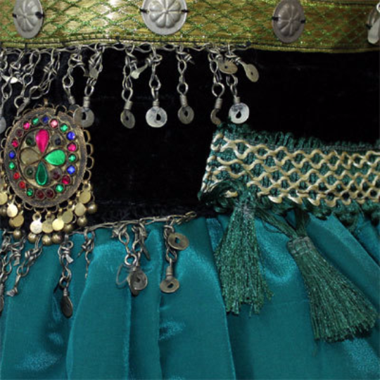 Aishwarya bra belt set green WS