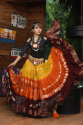 Senoritas skirt yellow orange burgundy with padma border WLS