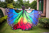 Butterfly Silk Wings Rainbow